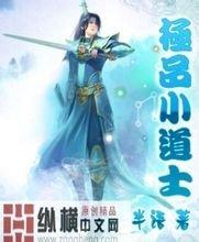 2024年新澳门天天开奖免费查询风水师小说